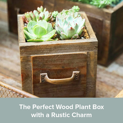 Country Style Wood Planter Box [1-Drawer] Rustic Wooden Flower Box - 5.5"x5.5" Square Planter - Small Wood Crates Unfinished Succulent Planters - Decorative Wooden Boxes for Flower Arrangements