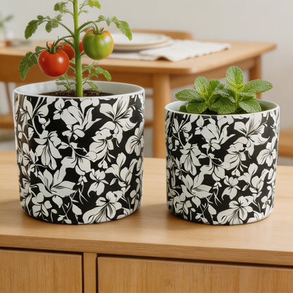 Ceramic Flowerpot Kit with Drainage Holes and Trays，5.9/4.9in Home Decor Planter for Indoor Potted Plants and Succulent Plants，2 Set of Black and White Plant Pot for Housewarming and Home Gifts