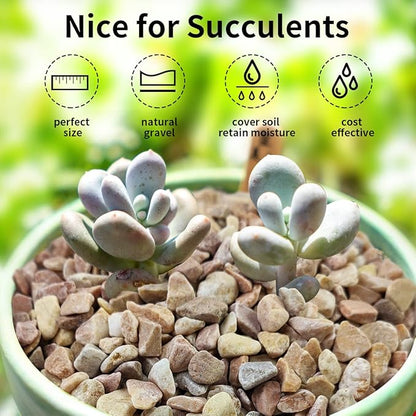 FANTIAN 10 LB Natural Pea Gravel Small Pebbles - 3/8 Inch Decorative Pebbles for Indoor Plants,Terrarium Rocks, Outdoor Decorative Rocks, Vase, Succulent Rocks, Aquarium Gravel and Landscaping Rocks