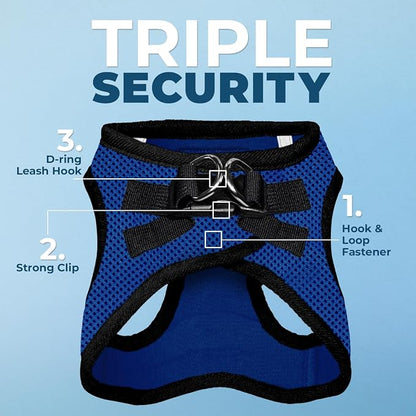 Best Pet Supplies Voyager Step-in Air All Weather Mesh Harness and Reflective Dog 5ft Leash Combo with Neoprene Handle, for Small, Medium and Large Breed Puppies - Royal Blue/Black Trim, Small
