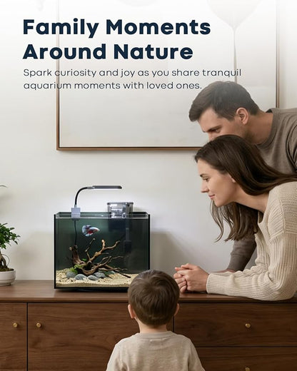 3 Gallon Small Fish Tank Glass Aquarium Set, Starter Kit with Heater Water Pump Cleaning Filter Bright Light Rocks Gravel Cleaning Tool, Leak-Proof Clear Rimless Desktop Spaces Saving Betta Fish