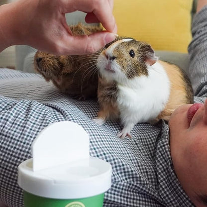 GuineaDad Organic Treat Sampler - Guinea Pig Herbal Treats - Guinea Pig Food in 6 Flavors - 6 Pack - Guinea Pig Treats Help with Bonding - High in Nutrition, No Preservatives, No Additives