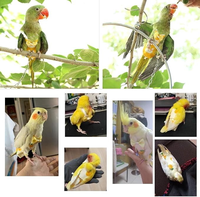 Diaper Flight Suite Liners for Birds Protective Nappy with Waterproof Inner Layer Cute Urine Wet Suit for Parrot Macaw African Budgies Conure Monk Parakeet (M,Grey)