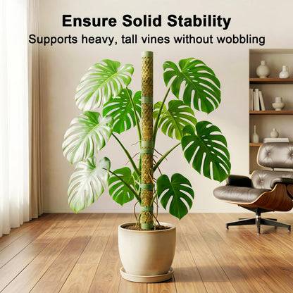 Moss Pole Monstera Plant Support - 42.5" Stackable D-Shape Stakes for Indoor Plants - No-Rot Plastic Sticks & Tall Trellis for Pothos Climbing Vines Houseplant