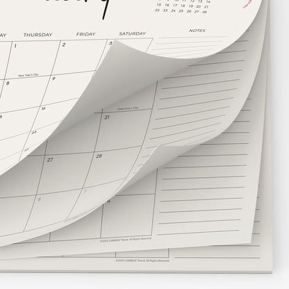 Cabbrix Desk Calendar 2026 with Desktop Mat, Desk Pad Calendar 15"x 12" From January 2026 to June 2027, Desk Calendar for Home Office and School, Easy Planning, Black