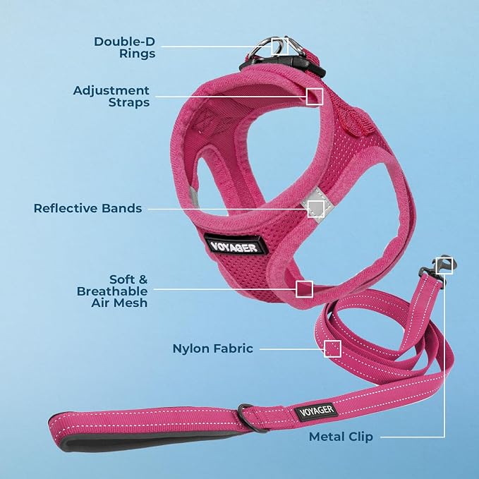 Best Pet Supplies Voyager Step-in Air All Weather Mesh Harness and Reflective Dog 5ft Leash Combo with Neoprene Handle, for Small, Medium and Large Breed Puppies - Fuchsia, Medium