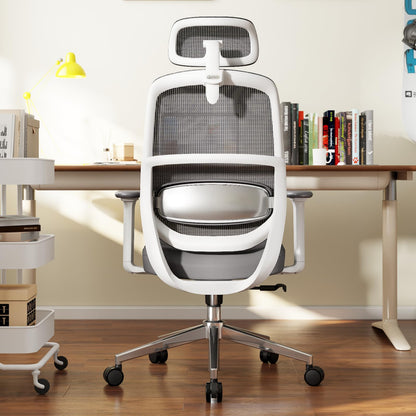 QuelSoft Ergonomic Office Chair, Home Office Desk Chairs, 3D Lumbar Support High Back Desk Chair, Comfortable Computer & Gaming Chair for Office & Home - Silver
