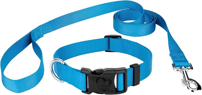Country Brook Petz - Everyday Nylon Dog Collar and Leash - 10+ Cool Colors (1 Inch, Large, Ice Blue)