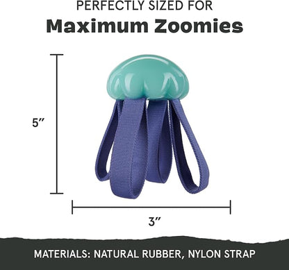 Barkbox Jelly Fetch Dog Toy for Medium Dogs – Perfect for Tug and Fetch Play, Durable Design with Strong Nylon Straps for Long-Lasting Fun