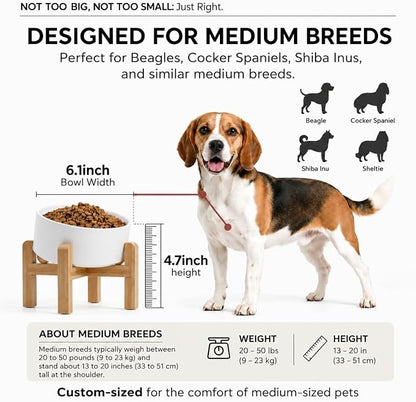 hjn Elevated Ceramic Dog Bowl 15°Slanted Raised Dog Bowl with Bamboo Stand for Small Medium Dogs and Cats, Pet Feeder -3.6-Cup (850ml)-White