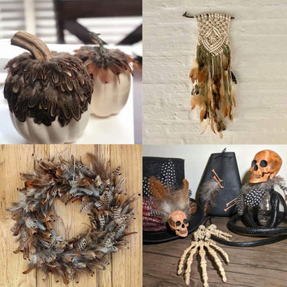360pcs 12 Styled Natural Feathers Assorted Mixed Feathers for Jewelry and Dream Catcher Crafts