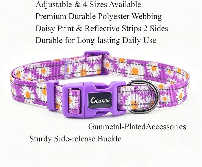Dog Collar Leash Set, Floral Pattern, with Safety Reflective Strips, 5 ft Matching Leash, Neoprene Padded Handle, Adjustable 4 Sizes for Small Medium Large Dogs.(L, Purple Daisy)