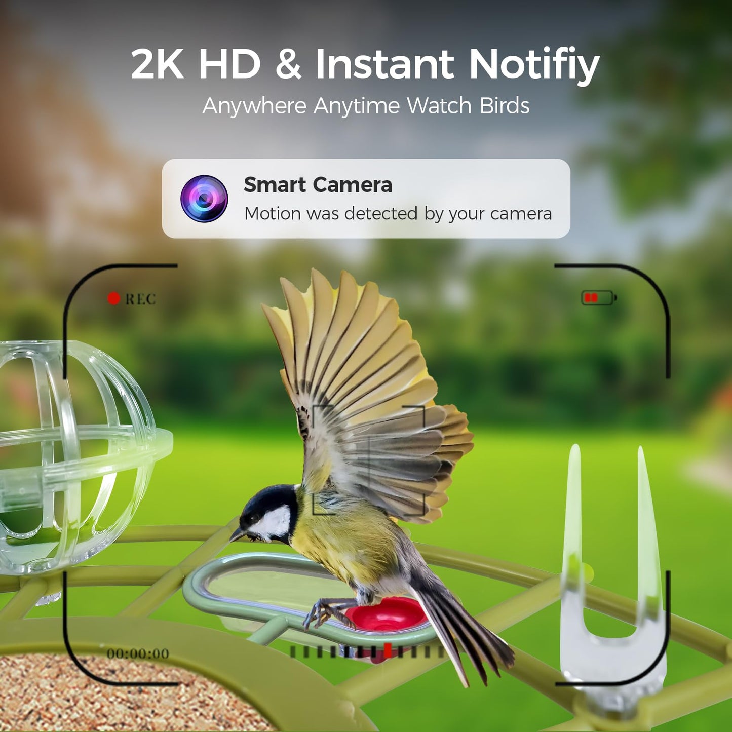 Upgraded Smart Bird Feeder with Camera, AI Species Identify, Adjustable Exterior Camera, 2K HD Live View & Motion Alerts, Weatherproof Outdoor Bird Feeder for Bird Lovers