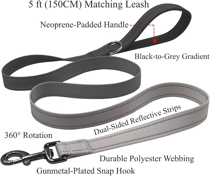Dog Collar Leash Set, Gradient Color, with Safety Reflective Strips, 5 ft Matching Leash, Neoprene Padded Handle, Adjustable 4 Sizes for Small Medium Large Dogs.(L, Black Grey)