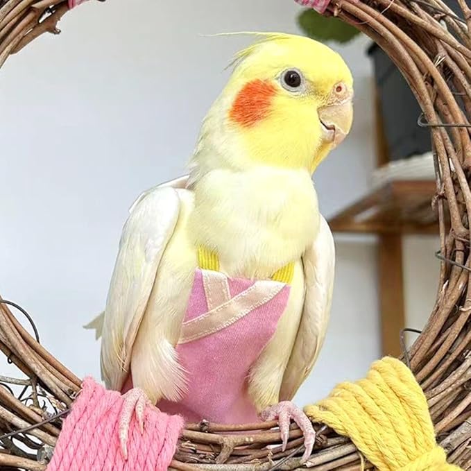 Bird Flight Suits Diapers, Parrot Flight Suits Diapers for Quaker Parakeets Cockatiels Conures Macaw African Grey, Bird Diaper, Parrot Clothes (Almond,Macaw)