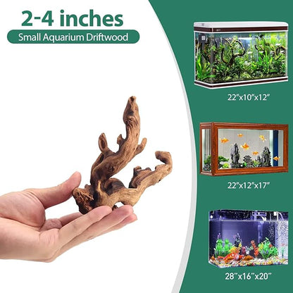 WDEFUN Natural Driftwood for Aquarium Decor, 10-Piece 2''-5'' Small Driftwood for Decorations on Fish Tank, Reptiles Bearded Dragon Accessories or Air Plants