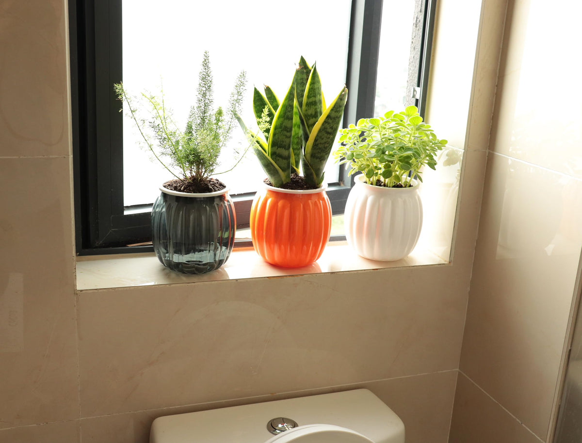 Cornasee 4" Pumpkin Planter Self Watering Pot for Halloween Decor, 4-Pack Small Plastic Planters for Indoor Plants,Flowers,Succulent,African Violets (Orange, 4")