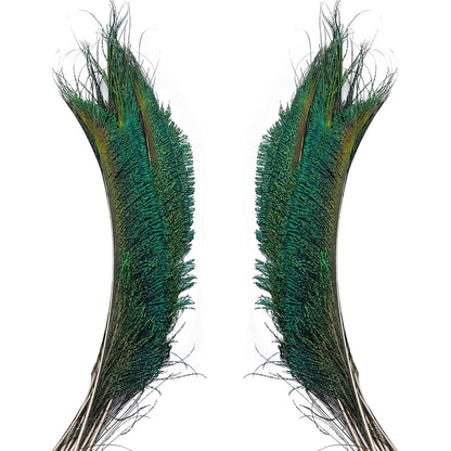 50pcs Natural Peacock Sword Feathers 12-14 Inch for Home Decor Wedding Party Vase Decoration Hat Costume DIY Crafts Floral Arrangements Christmas Tree Ornaments (25 Left & 25 Right)