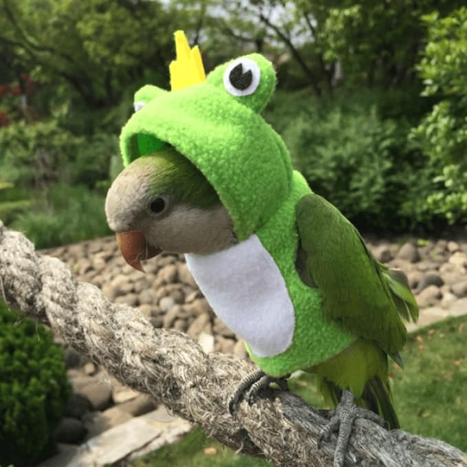 Bird Costume Diaper Flight Suit Frog Shape Hoodie Clothes Cosplay Photo Prop for Parrots Parakeet Cockatiel Sun Conure, Small Animals Apparel (Pink Without Diaper, Large), Green