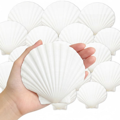 Denking 30 PCS Scallop Shells Mixed Sizes 3–5 Inch Natural White Seashells 3"-3.5" 3.5"-4" 4"-5" for DIY Painting, Craft, Baking, Beach Wedding & Home Decor(30PCS 3 Sizes Mixed)