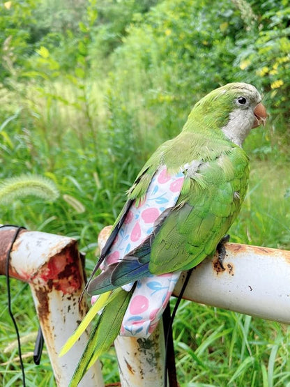 Bird Diaper Harness Flight Suit Clothes, Parrot Flight Suit with Leash, Bird Flying Clothes with Rope and Handle for Outdoor Activities Training (Pink Without Leash,Medium)