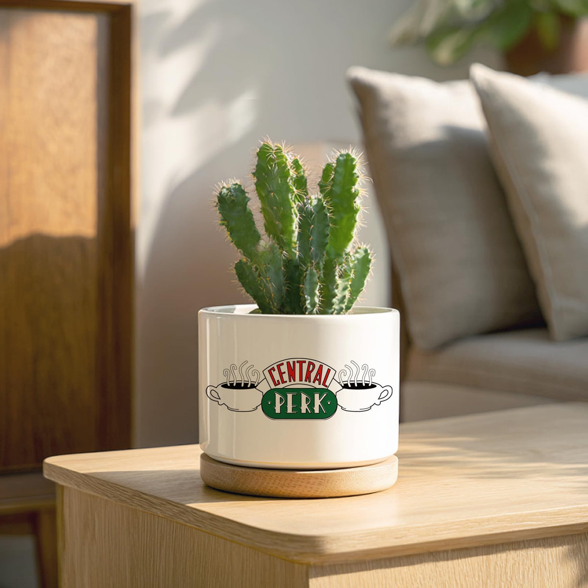 Ywkuiev Succulent Planter, Flower Cactus Plant Pot, Friends Merchandise, Funny Friendship Decor Themed Gifts for Men Women Best Friends Bestie Sister Housewarming Gift (Plants Not Included)