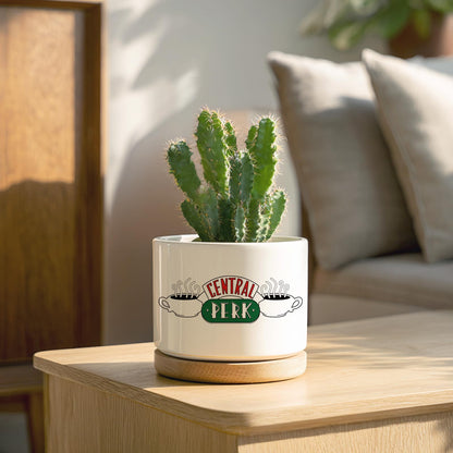 Ywkuiev Succulent Planter, Flower Cactus Plant Pot, Friends Merchandise, Funny Friendship Decor Themed Gifts for Men Women Best Friends Bestie Sister Housewarming Gift (Plants Not Included)