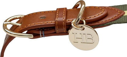 Harry Barker Green Pieced Stripe Buckle Collar - Medium