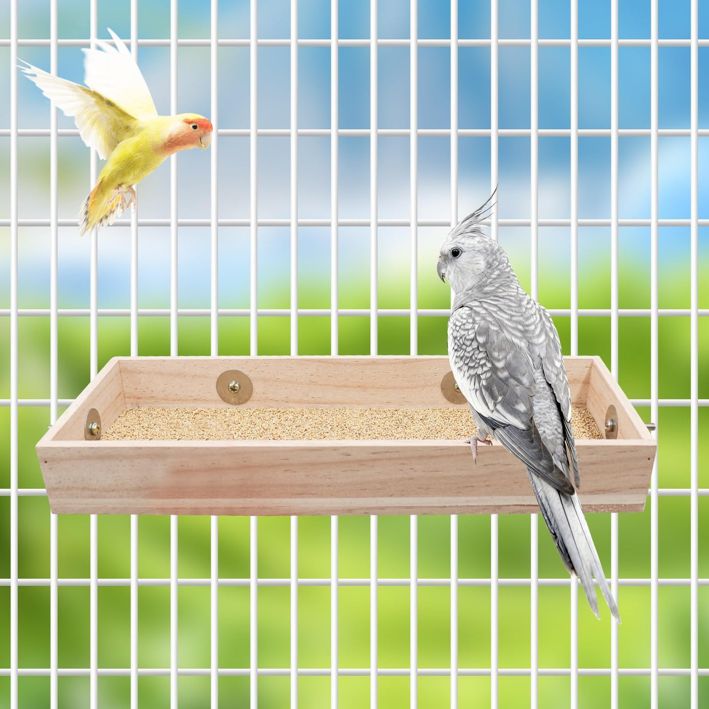 Bird Cage Accessories, Wooden Food Dish for Small to Medium Birds, Bird Feeder for Cage, Food Bowl for Budgie, Cockatiel, Lovebird, Conure, Parakeet, Canary, Kakariki