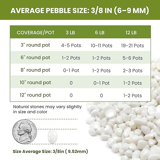 3/8 Inch Polished Decorative Pebbles, River Rocks for Indoor Plants, Succulents, Planters, Vases, Fish Tank, Aquarium Gravel & Landscaping, Snow White, 6LB