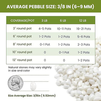 3/8 Inch Polished Decorative Pebbles, River Rocks for Indoor Plants, Succulents, Planters, Vases, Fish Tank, Aquarium Gravel & Landscaping, Snow White, 6LB