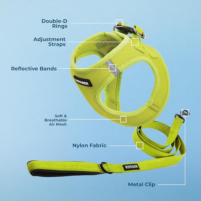 Best Pet Supplies Voyager Step-in Air All Weather Mesh Harness and Reflective Dog 5ft Leash Combo with Neoprene Handle, for Small, Medium and Large Breed Puppies - Set (Lime Green), X-Small