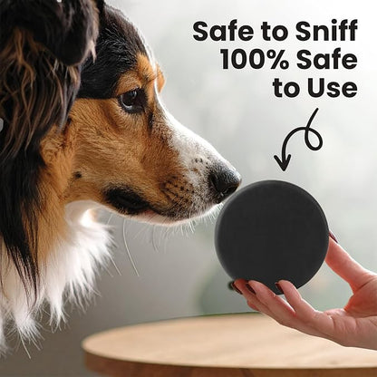 Project Sudz Activated Charcoal Organic Bar Shampoo for Dogs | Odor Eliminating Dog Shampoo Bar (1)