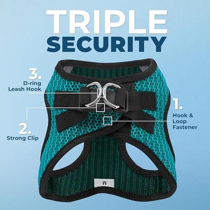 Best Pet Supplies Voyager Step-in Air All Weather Mesh Harness and Reflective Dog 5ft Leash Combo with Neoprene Handle, for Small, Medium and Large Breed Puppies - Set (Turquoise 2-Tone), Medium