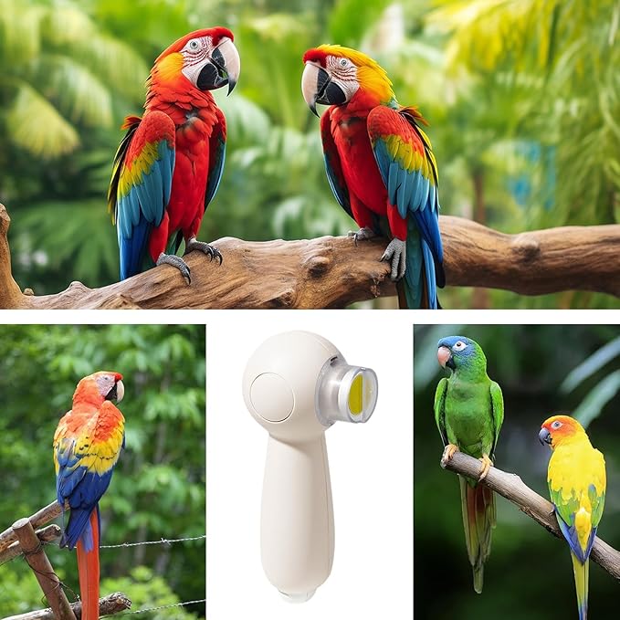 Rechargeable Parrot Nail Trimmer - Quiet Beak Grinder with 6 Heads | Grooming and Trimming Tool for Budgerigars and Birds, Low-Noise Electric Bird Nail File, Gentle Care Tool for Claws and Beaks