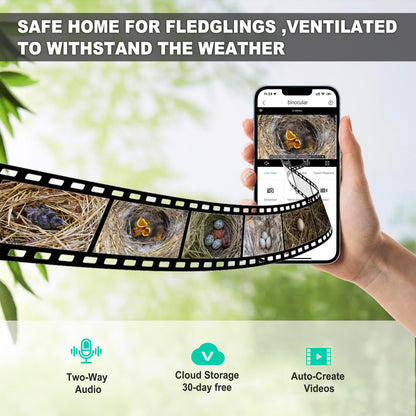 Solar Bird House with Camera, 1080P HD Wooden Smart Birdnest Solar Powered, Watch Birds Nesting & Hatching in Real Time, AI Identify Bird Behavior & Create Bird Story, Weatherproof Birdhouse