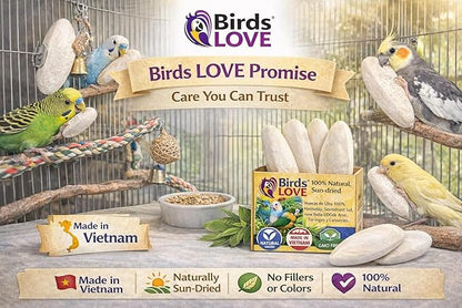 Birds LOVE 5.5-6″ Cuttlebone for Birds – 100% Natural Sun-Dried Calcium & Beak Conditioning Supplement for Parakeets, Budgies, Cockatiels, Finches & Canaries – 12 Pack with Holder – Made in Vietnam