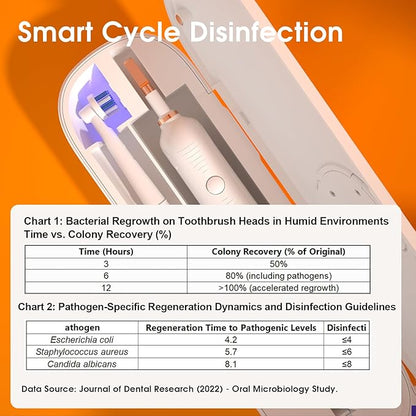 iHave Toothbrush Sanitizer for Electric Toothbrushes, Portable UV Toothbrush