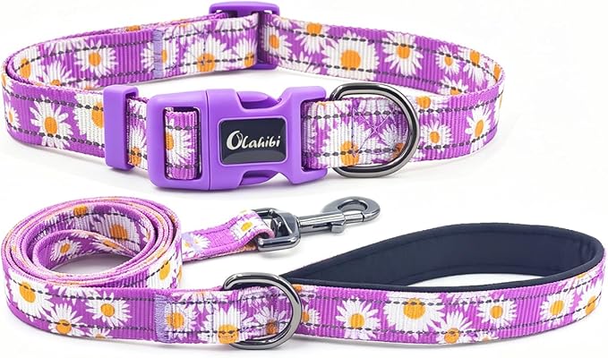 Dog Collar Leash Set, Floral Pattern, with Safety Reflective Strips, 5 ft Matching Leash, Neoprene Padded Handle, Adjustable 4 Sizes for Small Medium Large Dogs.(XS, Purple Daisy)