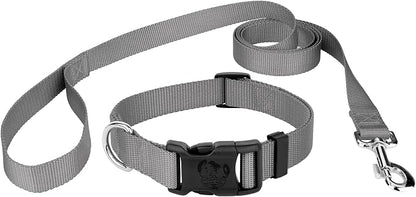Country Brook Petz - Everyday Nylon Dog Collar and Leash - 10+ Cool Colors (3/4 Inch, Small, Silver)