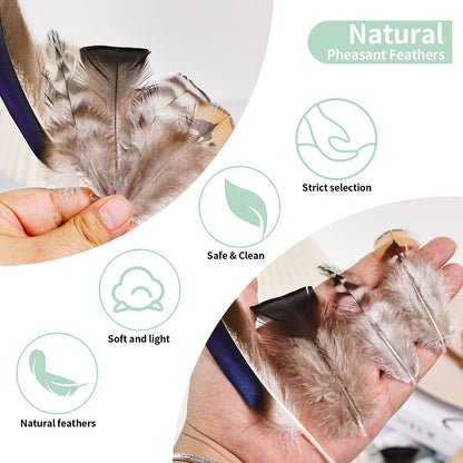 Natural Feathers Bulk -360PCS - 12 Styles Assorted Small Natural Feathers, Peacock Feathers, Pheasant Feathers, Turkey Feathers for DIY Crafts, Wedding, Crafting Supplies