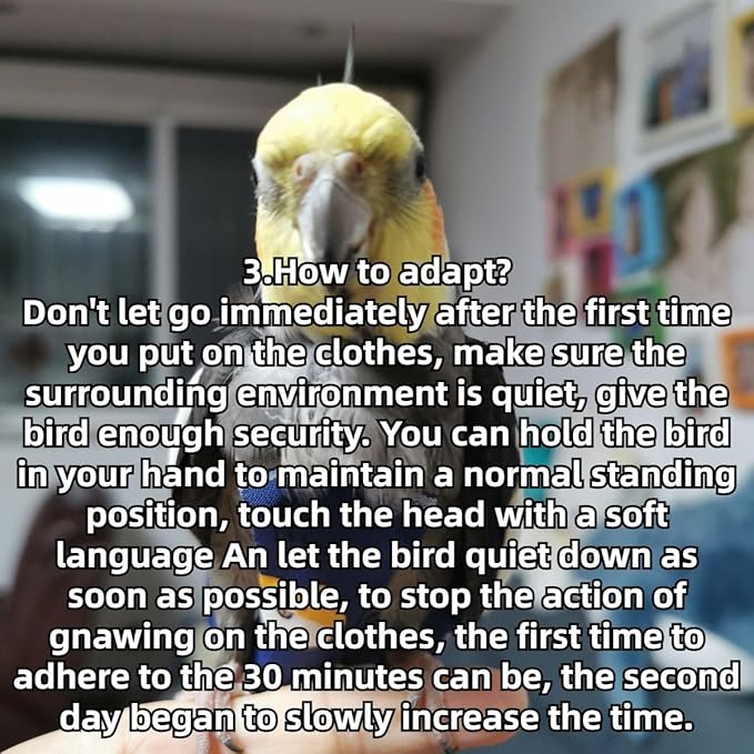 Bird Diaper Protective Parrot Nappy - 4 Pack, Reusable Flight Suit with Waterproof Inner Layer, Adjustable Shoulder Straps, Washable Cute Urine Wet Suit for Parakeet Conure (M)