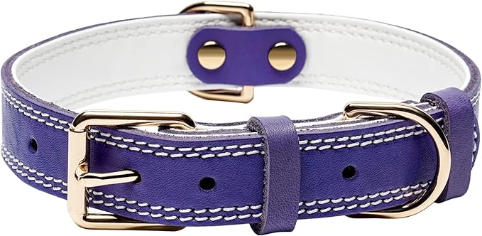 Genuine Leather Dog Collar, Heavy Duty Wide Dog Collar for Small, Medium, Large and Extra Large Dogs (M: 1" Wide for 15.2"-19.2" Neck, Dual Stitch - Purple)