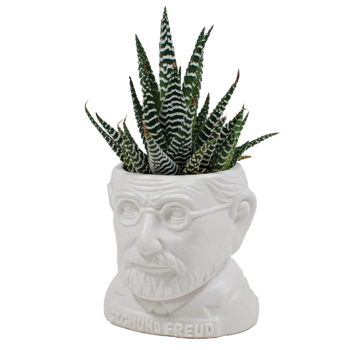 The Unemployed Philosophers Guild Sigmund Freud Bust Ceramic Planter