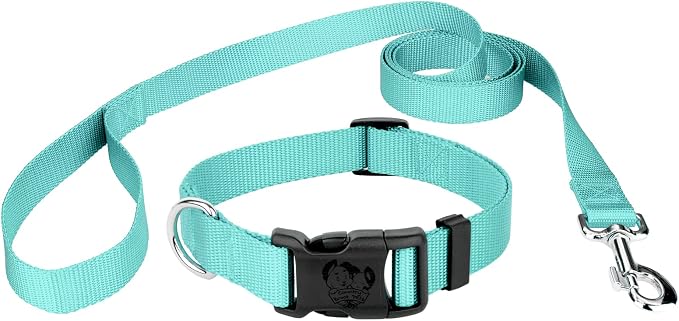 Country Brook Petz - Everyday Nylon Dog Collar and Leash - 10+ Cool Colors (1 Inch, Large, Light Cyan)
