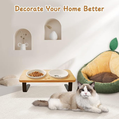 Ceramic Elevated Cat Bowls with 10° Tilted, Anti Vomiting & Whisker Friendly Food and Water Bowls with Bamboo Stand(Anti-Slip Feet), Raised Cat Food Bowls for Indoor Cats & Puppies, Dishwasher Safe