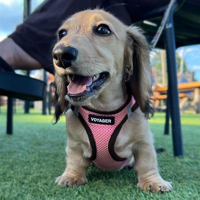 Best Pet Supplies Voyager Step-in Air All Weather Mesh Harness and Reflective Dog 5ft Leash Combo with Neoprene Handle, for Small, Medium and Large Breed Puppies - Set (Pink Base), X-Small