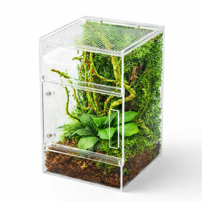 Jumping Spider Enclosure Kit, Waterproof Clear Acrylic Spider Terrarium, Front Opening + Top Access, Ventilated Insect Habitat with Moss Vine, Green Plant, 2 Moss Packs & Invisible Line (6-Piece Set)