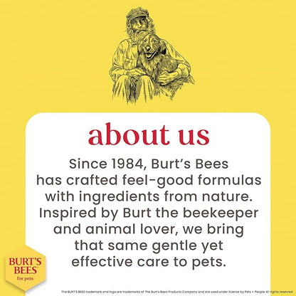 Burt's Bees for Pets Waterless Cat Shampoo Spray, No-Rinse Cat Dry Shampoo with Shea Butter & Honey for Gentle Cleaning Between Baths, pH Balanced, No Harsh Detergents, 10 Fl Oz - 6 Pack