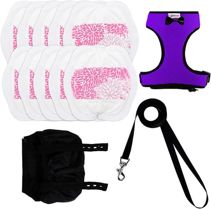 Adjustable Chicken Harness Diaper (5.4ft Leash) – Breathable & Washable Secure Training for Hens, Ducks & Chicks | Outdoor Walking & Discipline Solution